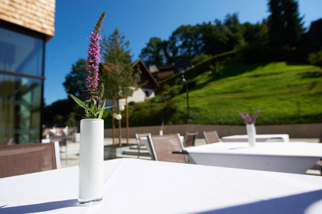Sternen Hotel Wolfurt Εξωτερικό φωτογραφία